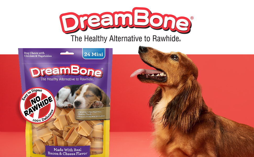 Dream Bone 24 Mini Chews