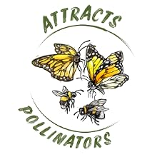 attracts pollinators to the flower garden butterflies bumblebees honeybees