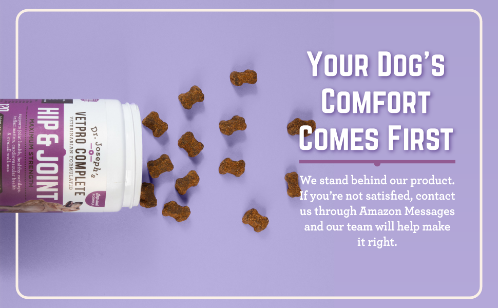 Your Dog&amp;#39;s Comfort Comes First