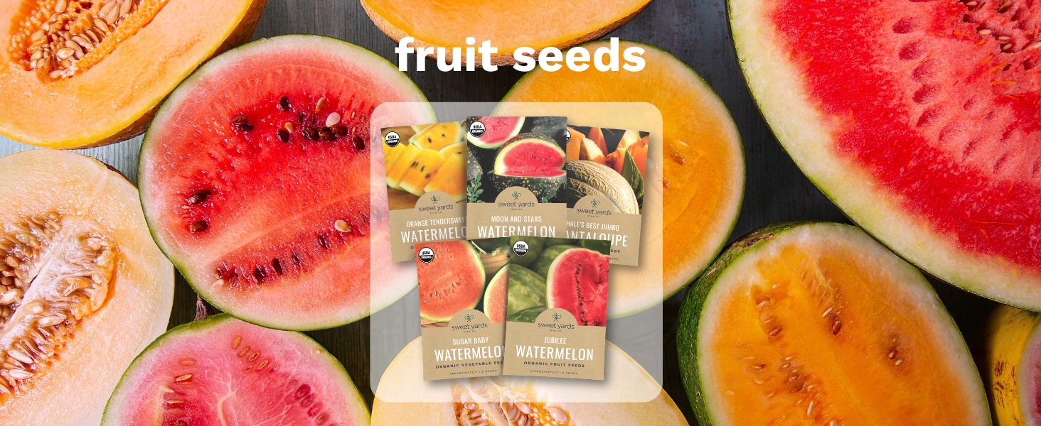 fruit