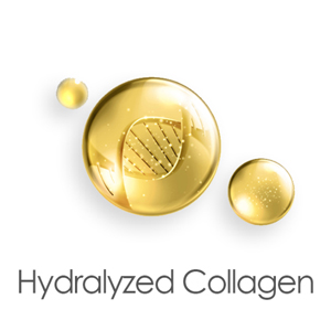 Hydralized Collagen