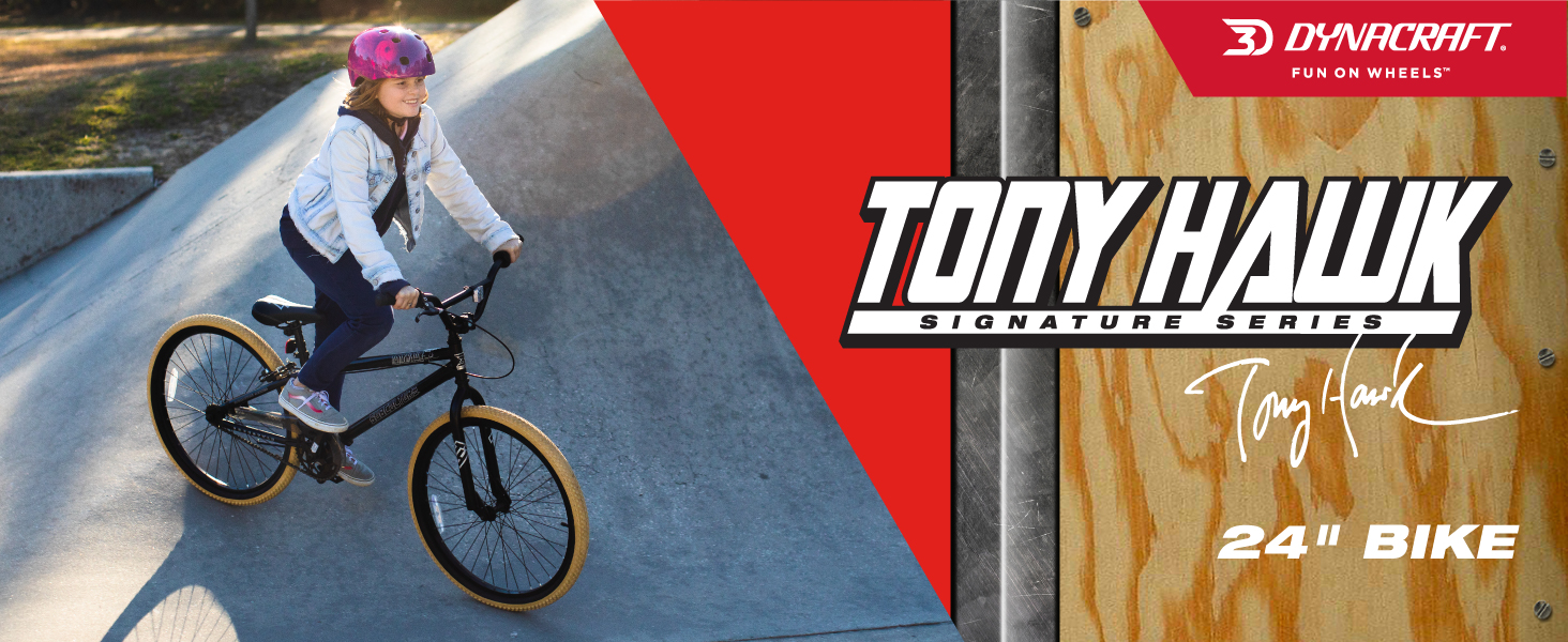 8155-09 Tony Hawk Banner Desktop