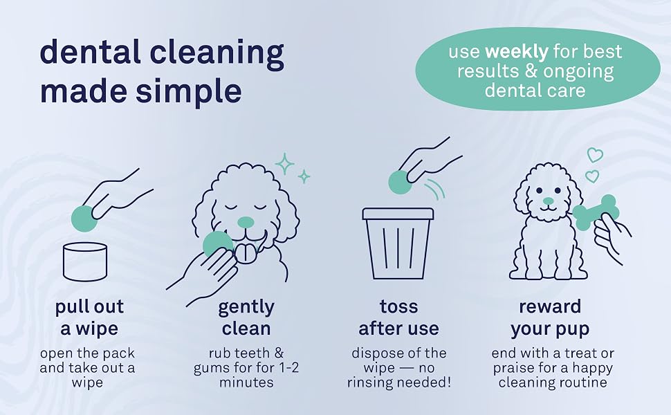 How to use dog dental wipes to gently clean teeth and gums in simple steps
