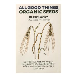 hard-red-spring-wheat-seed wheat-seed seed-for-planting wheat organic-wheat seed cover-crop non-gmo