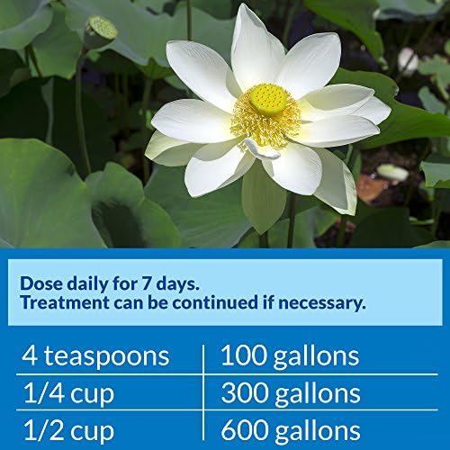 PondCare® PimaFix Antifungal Remedy for Koi & Goldfish (16 oz.)