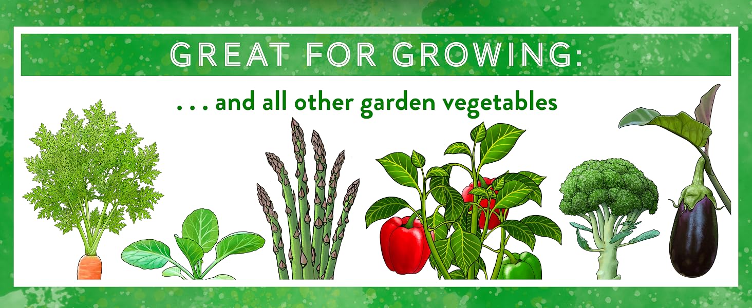 Veg Garden 3f