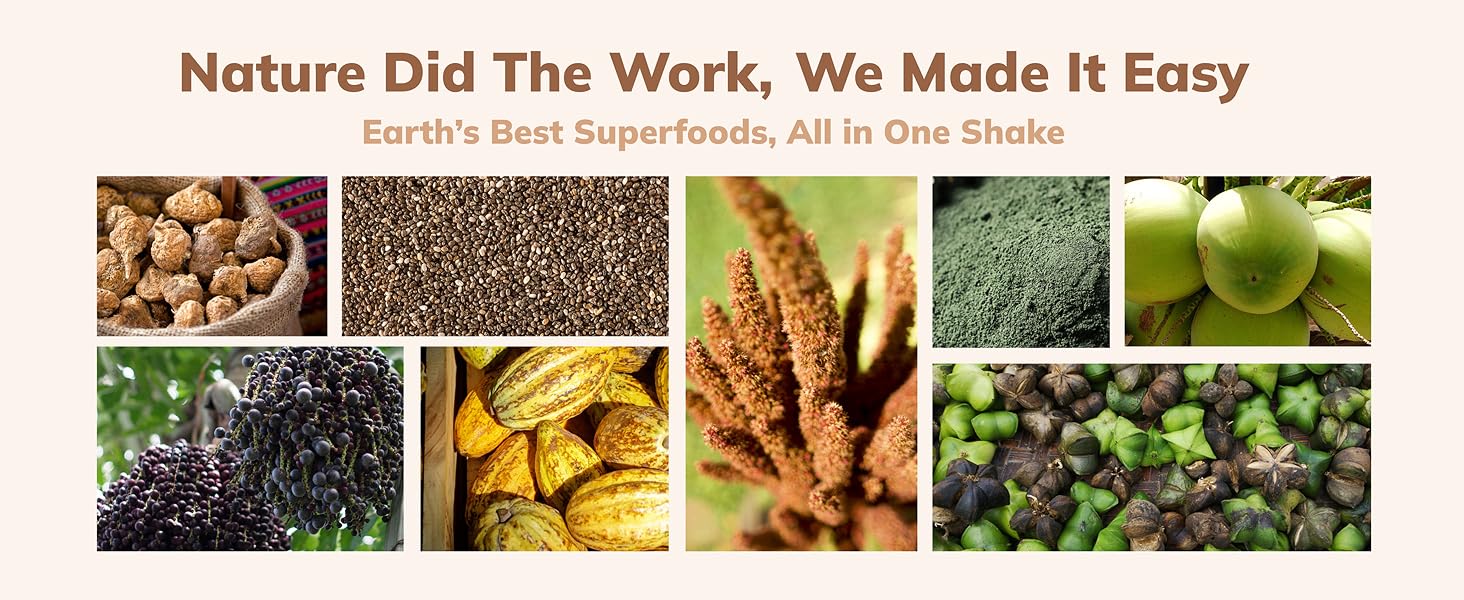 vegan protein powder plant based meal replacement shake superfood daily nutrition whole food