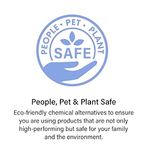 Safe