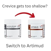 aplus content image