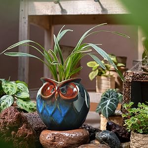 owl decor planter