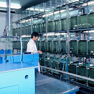 Japan Lab Food Trials