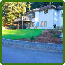 Mico Clover Lawn Grass Seed