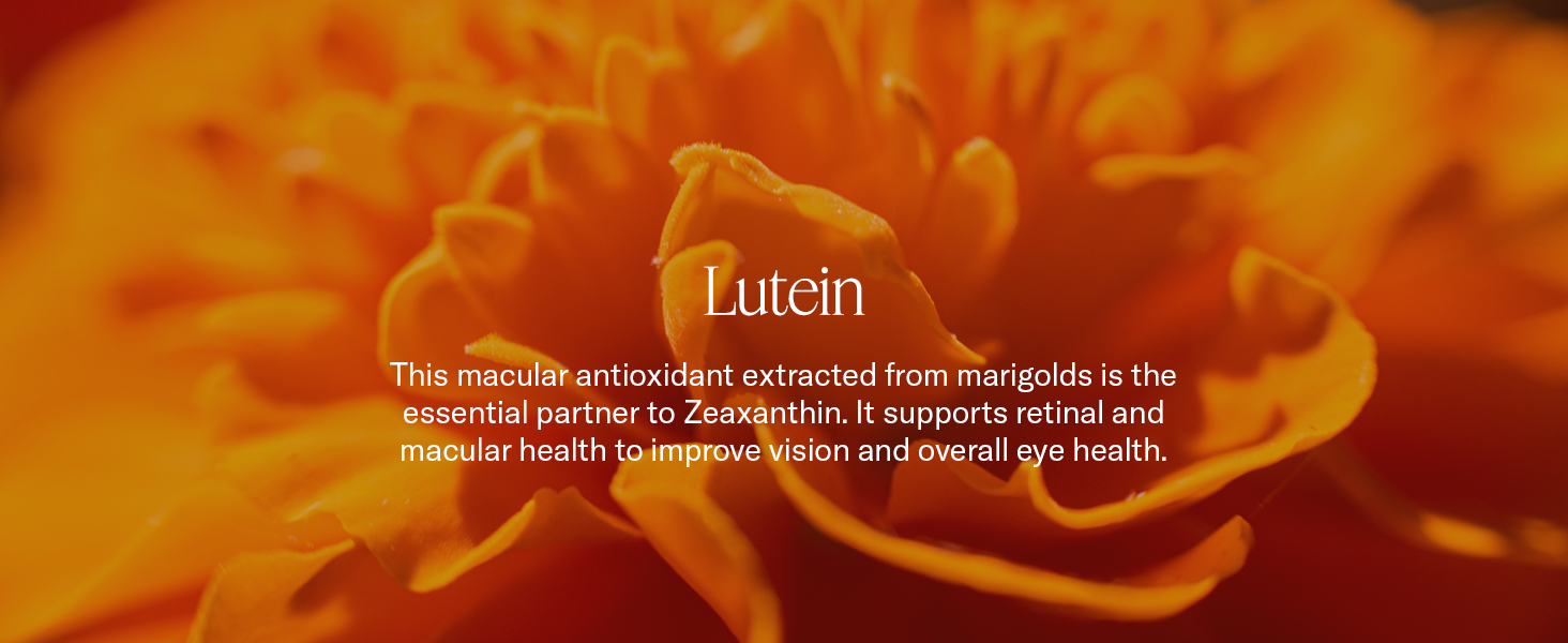 Lutein: Supports retinal and macular health to improve vision and overall eye health.