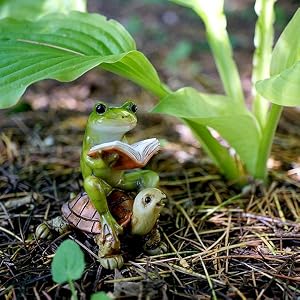 4396 miniature fairy garden frog reading book on turtle