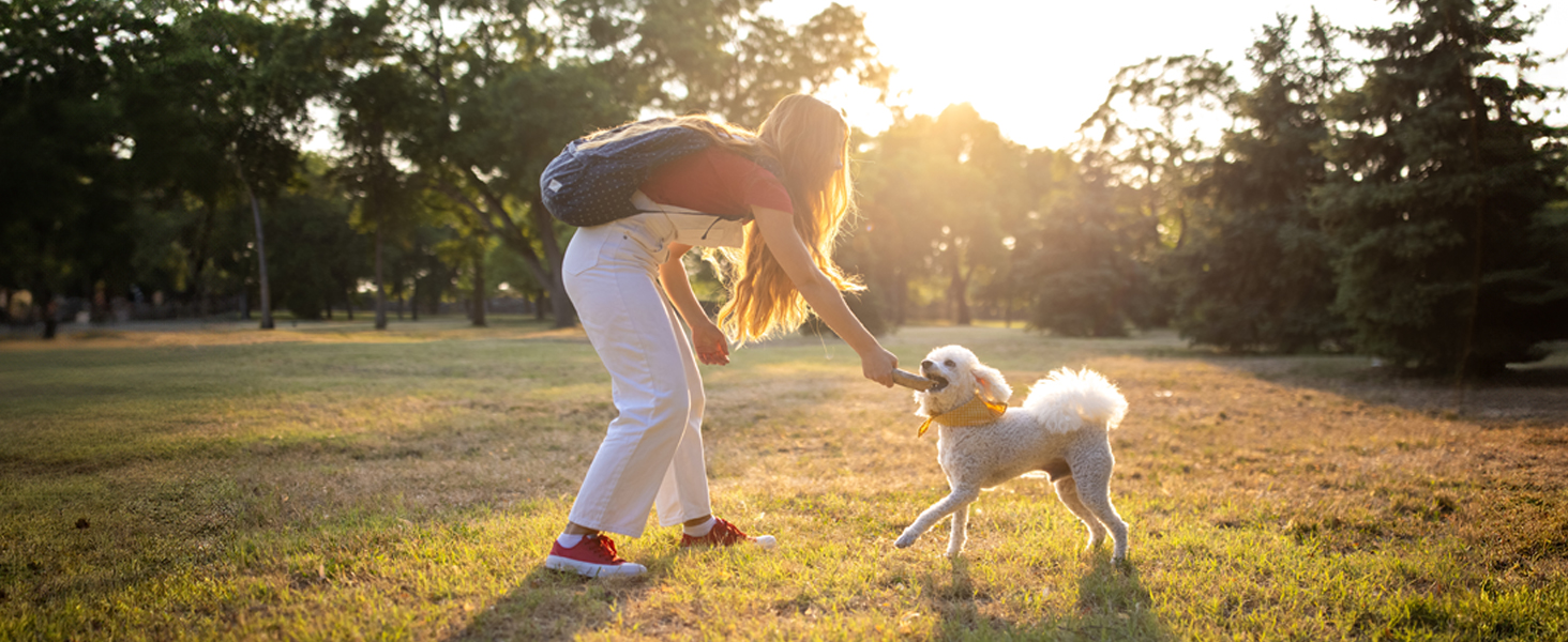 dog bladder support, urinary health, incontinence relief, cranberry chews, senior dog supplement