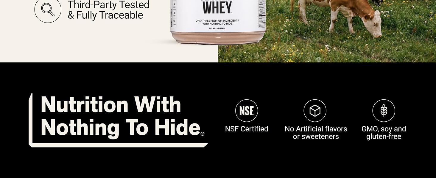 whey chocolate