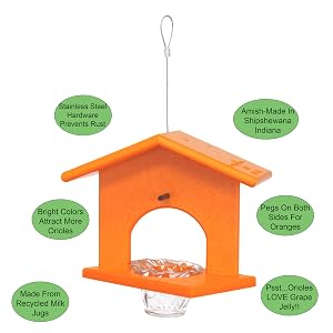 orange oriole jelly feeder