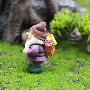 flower gnomes