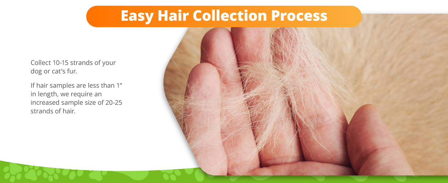 Collection Process