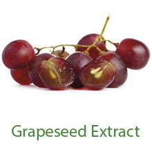 grape seed extract