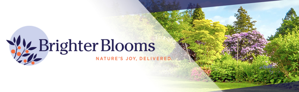 brighter blooms - nature's joy, delivered