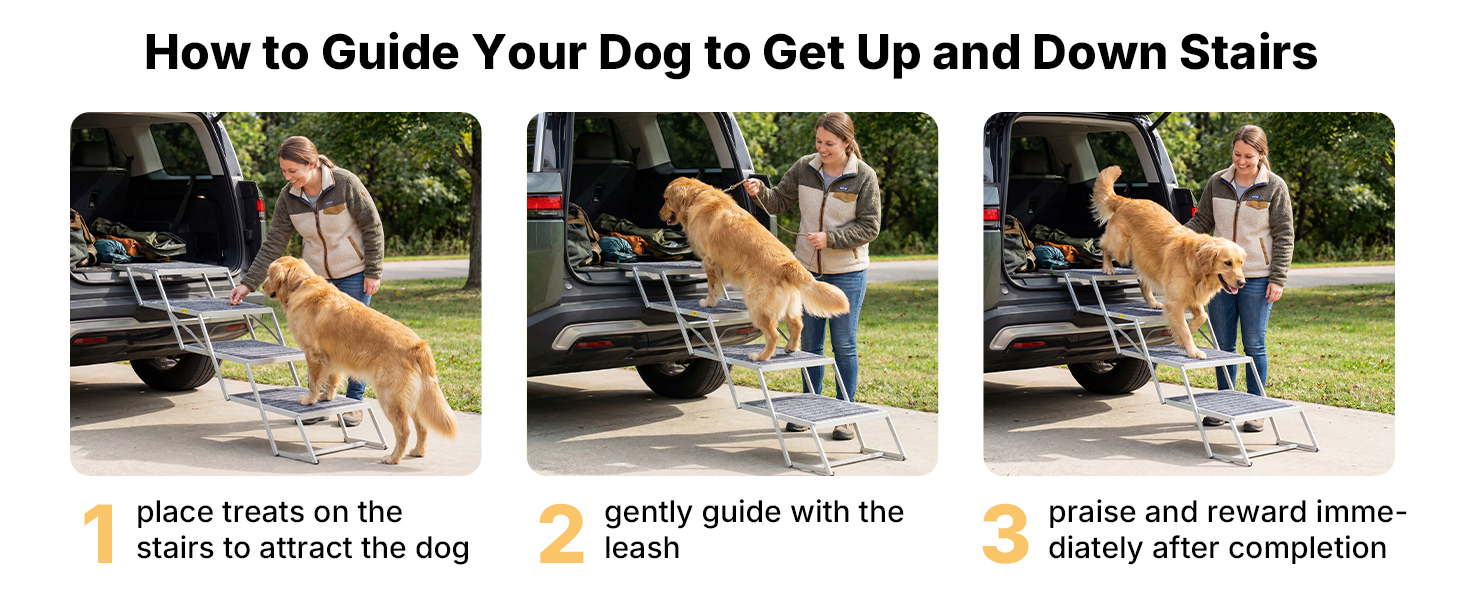 dog car stairs