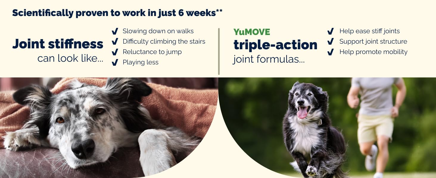 YuMOVE eases stiff joints and supports mobility in dogs, scientifically proven in 6 weeks