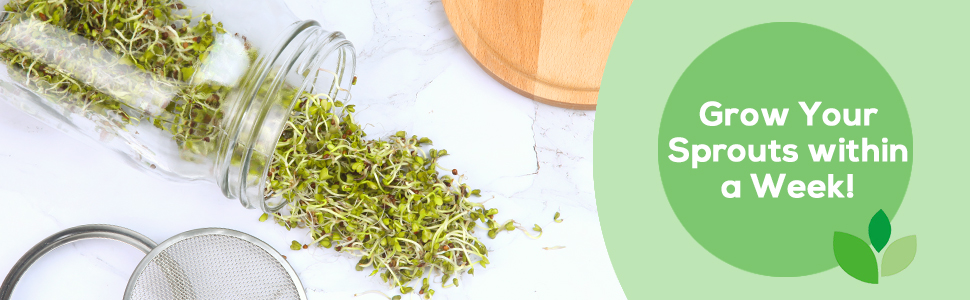 Sprouting kit