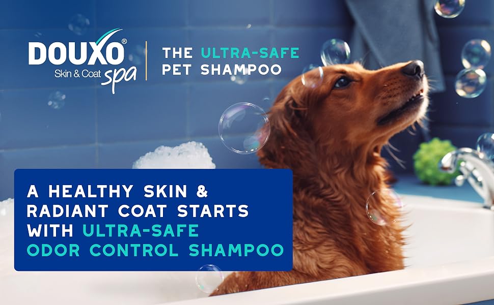 golden dog in bathtub with bubble around