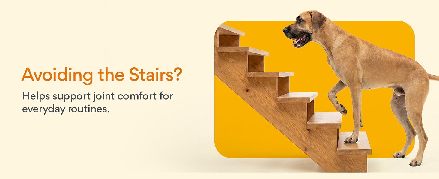 dog supplements