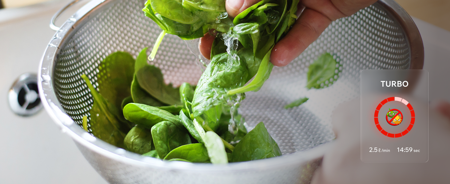 Spinach being washed in colander