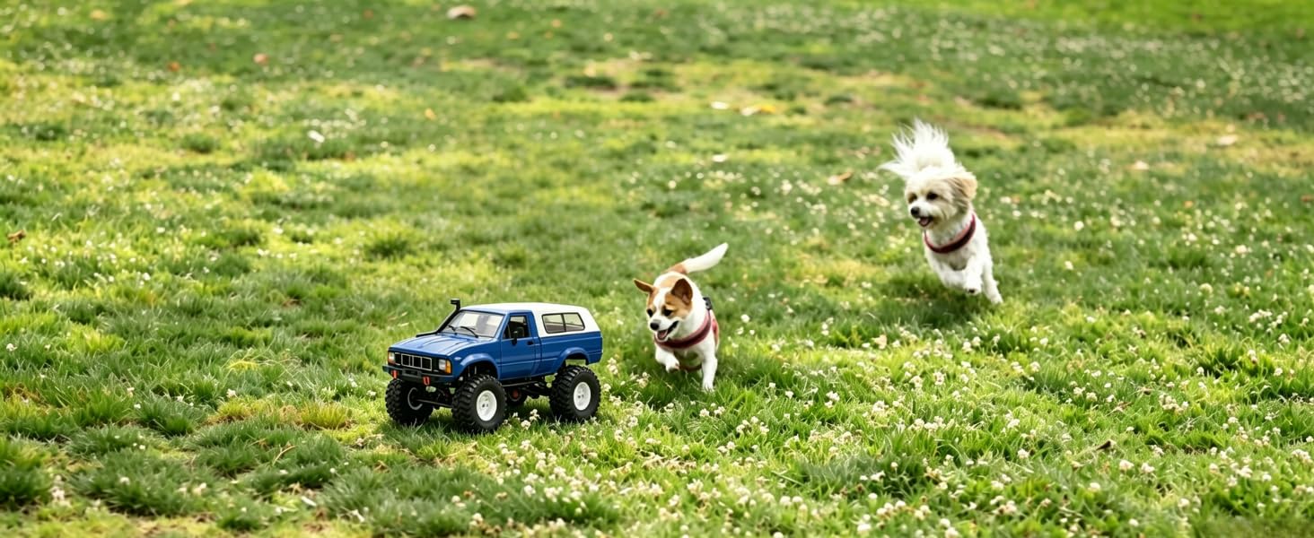 RC