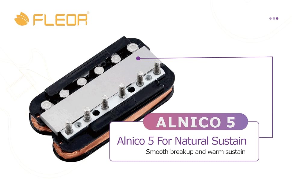 Alnico 5