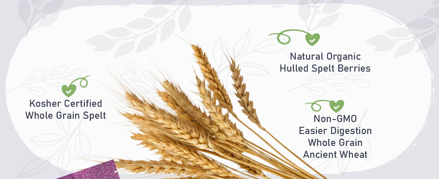 Natural Organic Hulled Spelt Berrries Non-GMO Easier Digestion Whole Grain Ancient Wheat Kosher