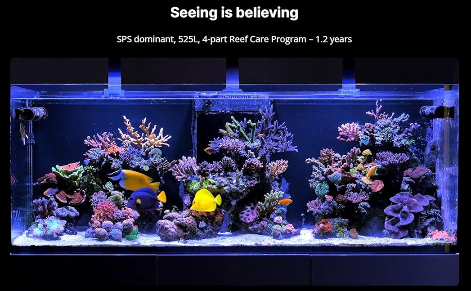 Reef Tank
