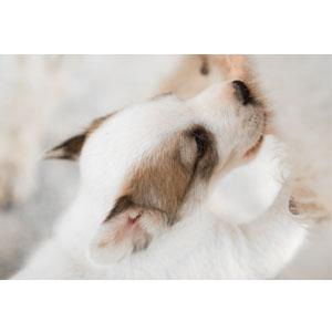 aplus content image