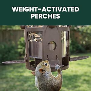 Perky-Pet Squirrel-Be-Gone Bird Feeder with Flexports features weight-activated perches