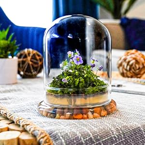 decor decoration relax relaxing ambiance luscious liven space work unique centerpiece