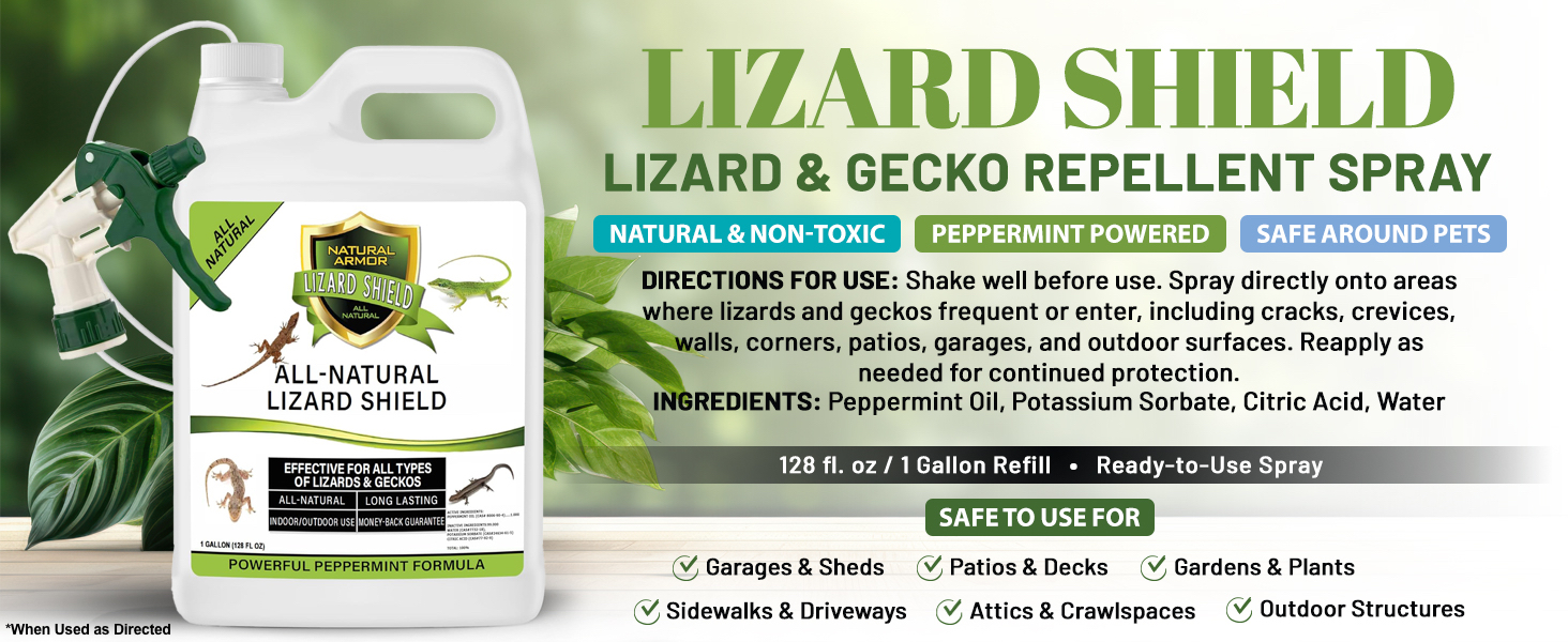 natural lizard