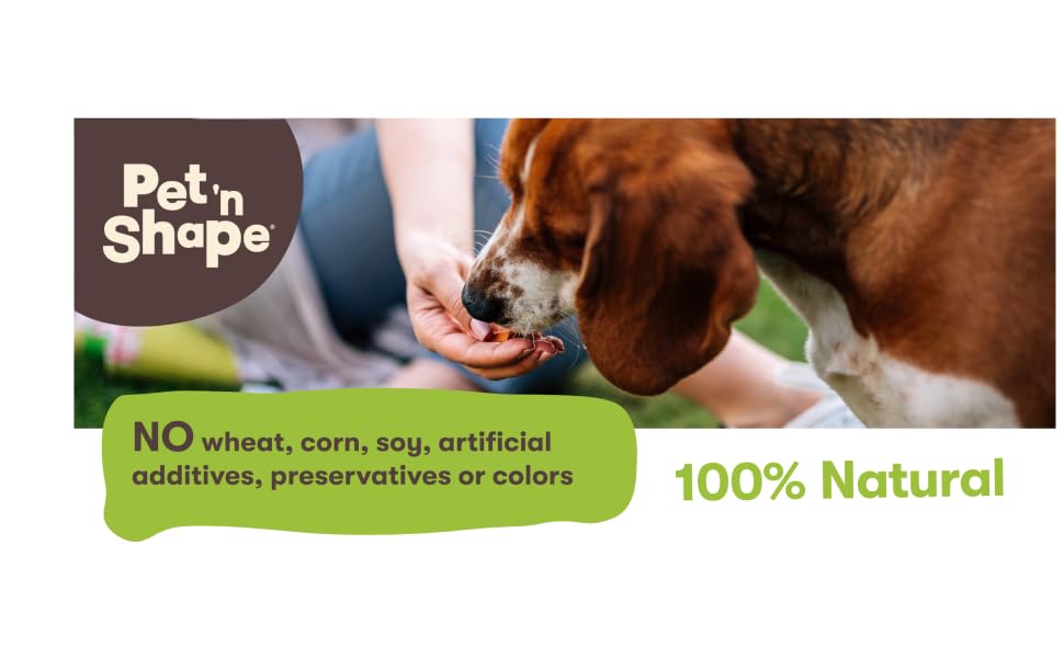pet n shape logo