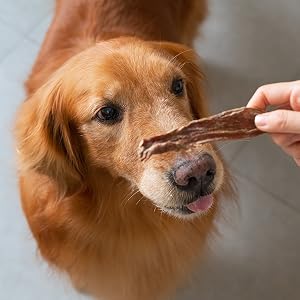 dog jerky treat chicken duck beef pet reward happy dog snack loves treat bonding time reward train