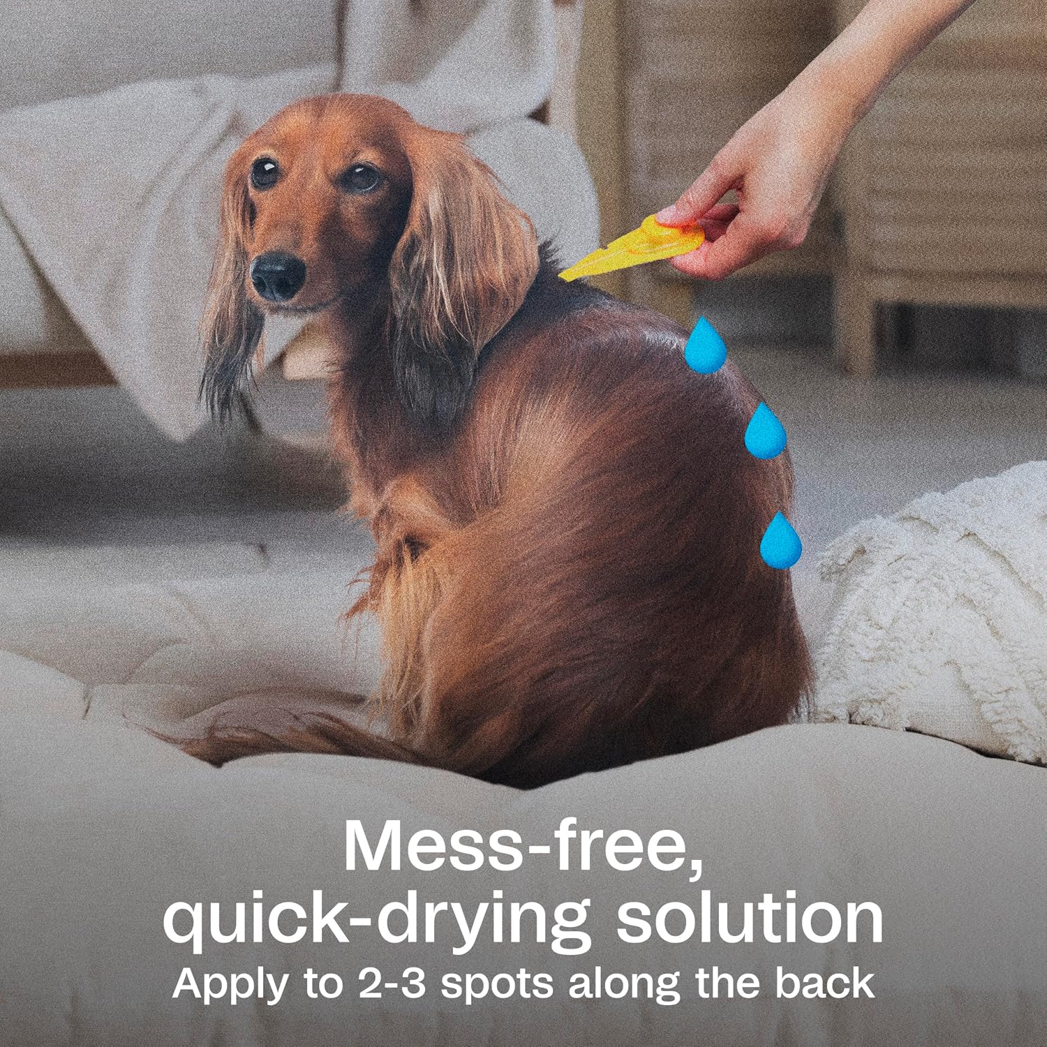 ADAMS Plus Flea & Tick Prevention Spot On for Extra Large Dogs, 3 Pack