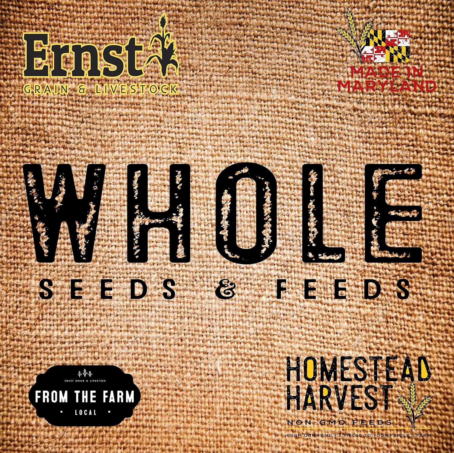Ernst Grain & Livestock Black Oil Sunflower Seeds - Birdseed for Outside Feeders Wild Bird Food - Ideal Bird Seed for Cardinals