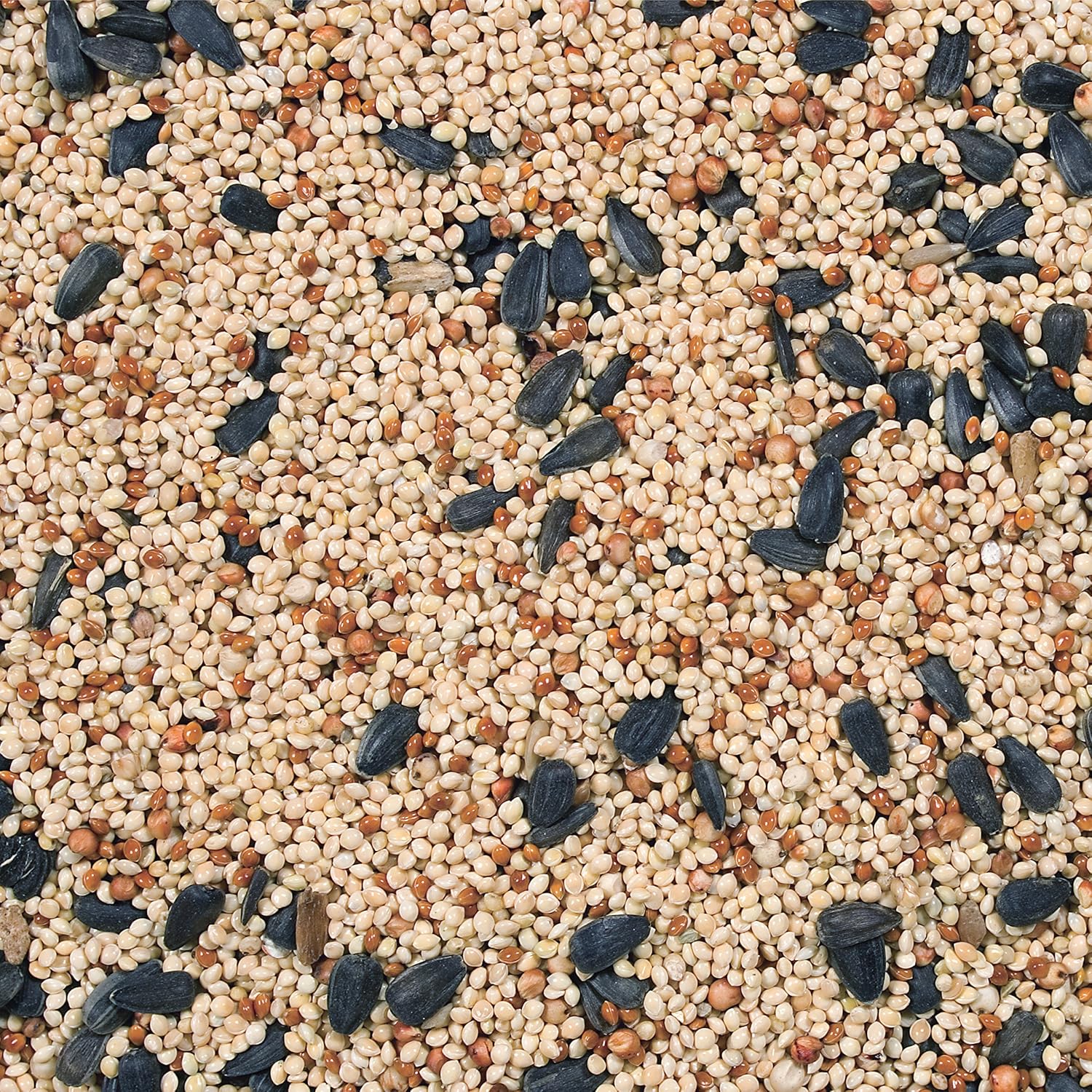 Wild Delight Buffet Wild Bird Food, 20 lb