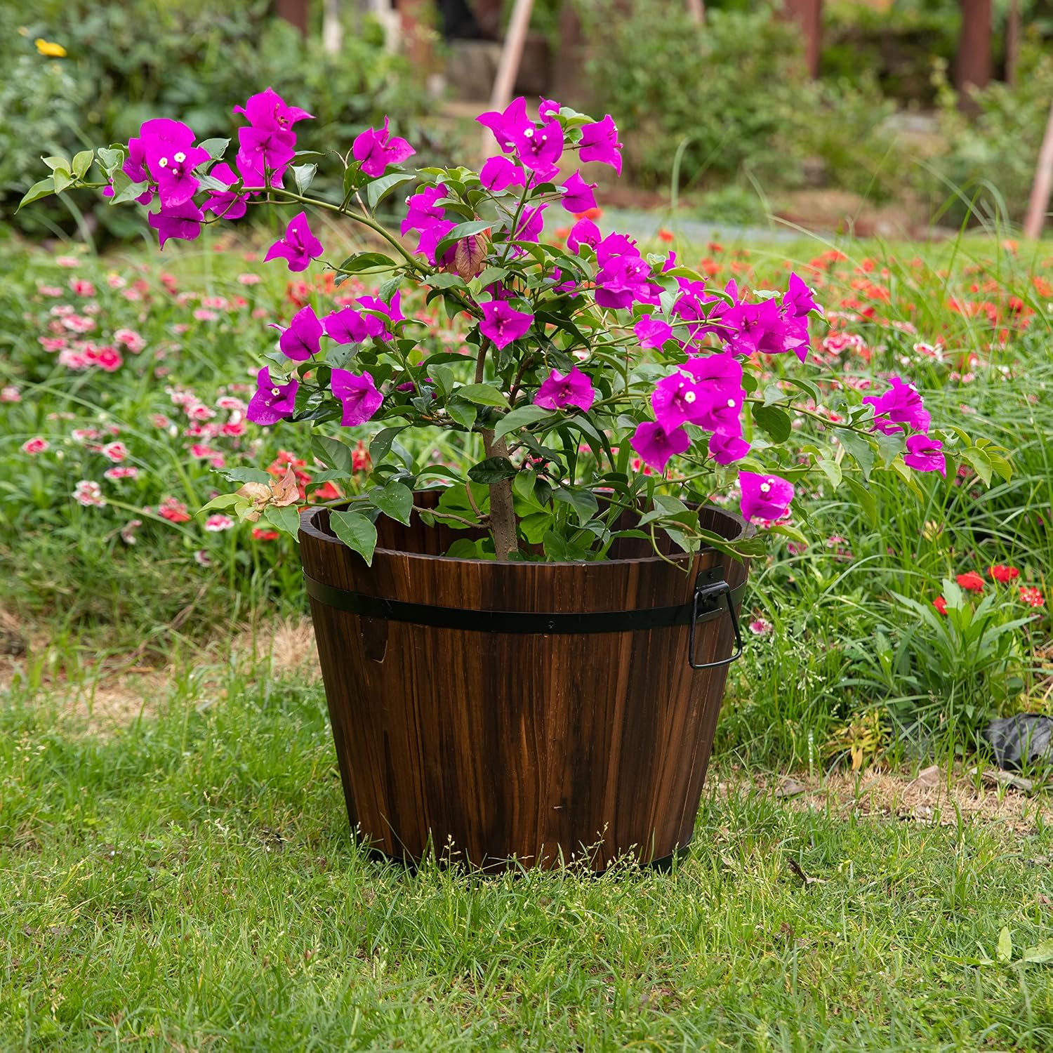 Rustic Wooden Whiskey Barrel Planter with Durable Medal Handles and Drainage Hole - Perfect for Indoor and Outdoor Plants, Herbs, and Vegetables - Medium