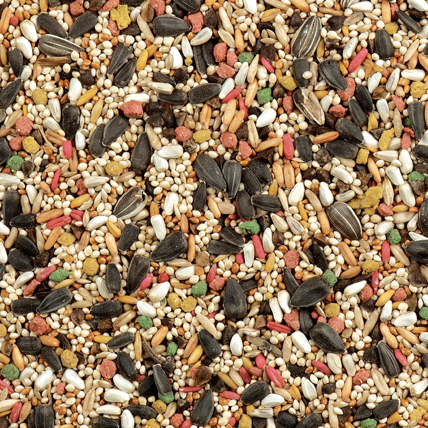 Wild Harvest Daily Blend Nutrition Diet, 2 Pounds, Bird Food for Cockatiels, Lovebirds and Small Hookbills