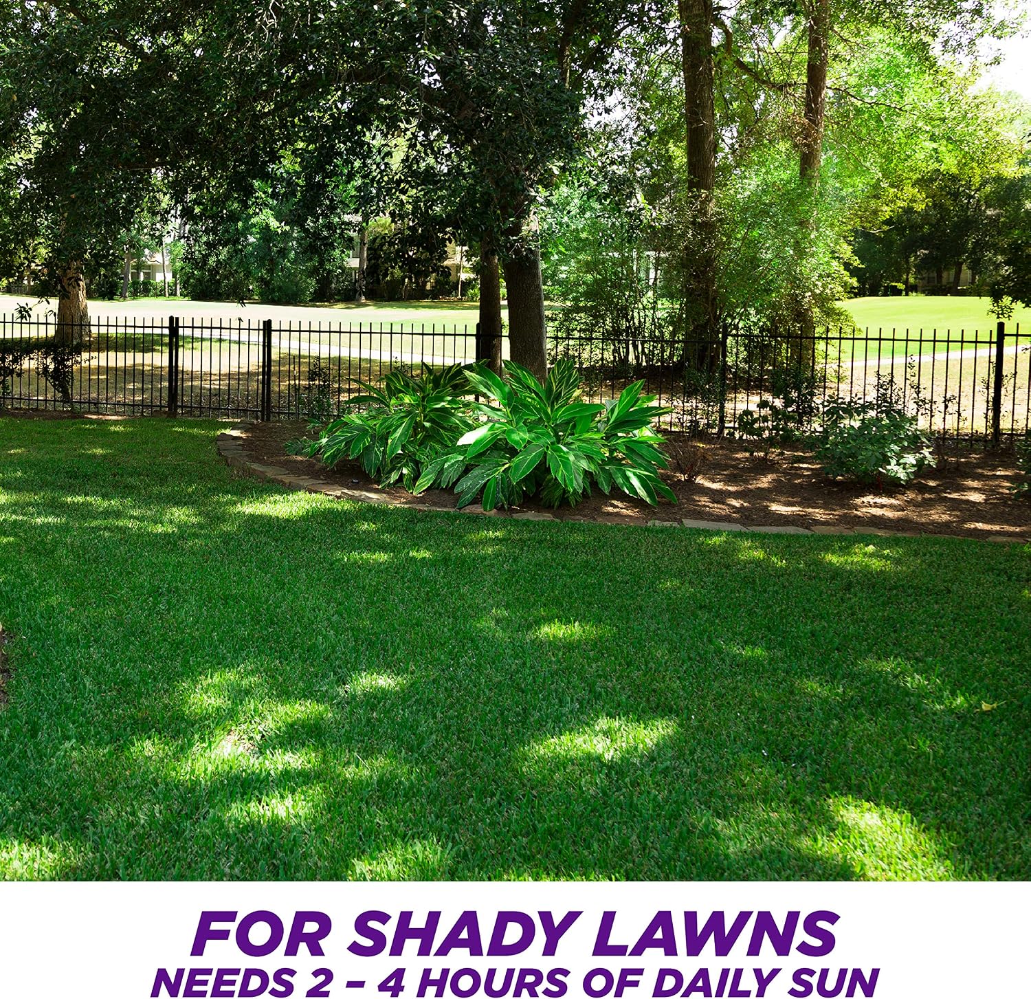 Pennington Smart Seed Dense Shade Grass Seed, 3 lb (100086851)