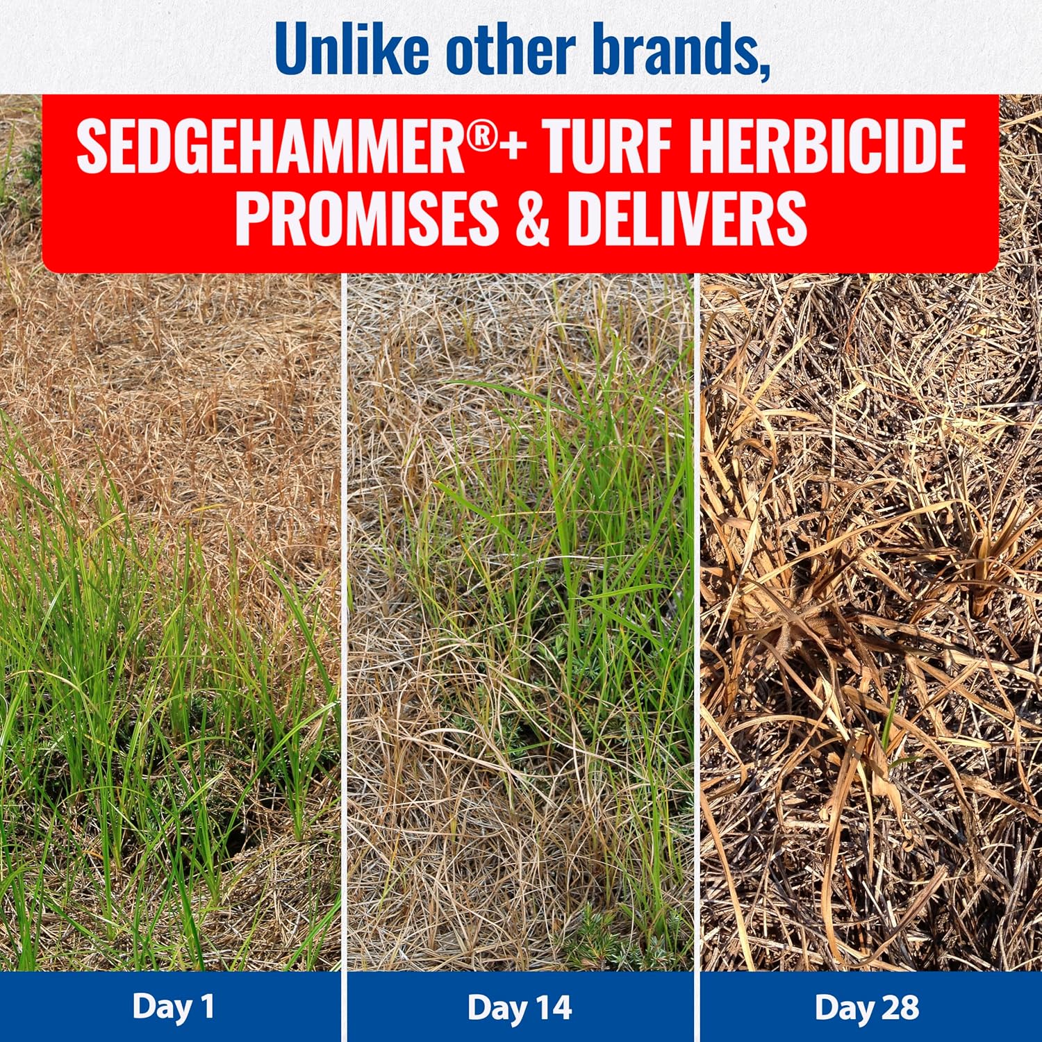 Sedgehammer Plus Turf Herbicide, Purple & Yellow Nutsedge Killer (1) | Lawns with Pre-Mixed Surfactant, Lawn & Pet Safe Weed Killer Mix for Residential Use