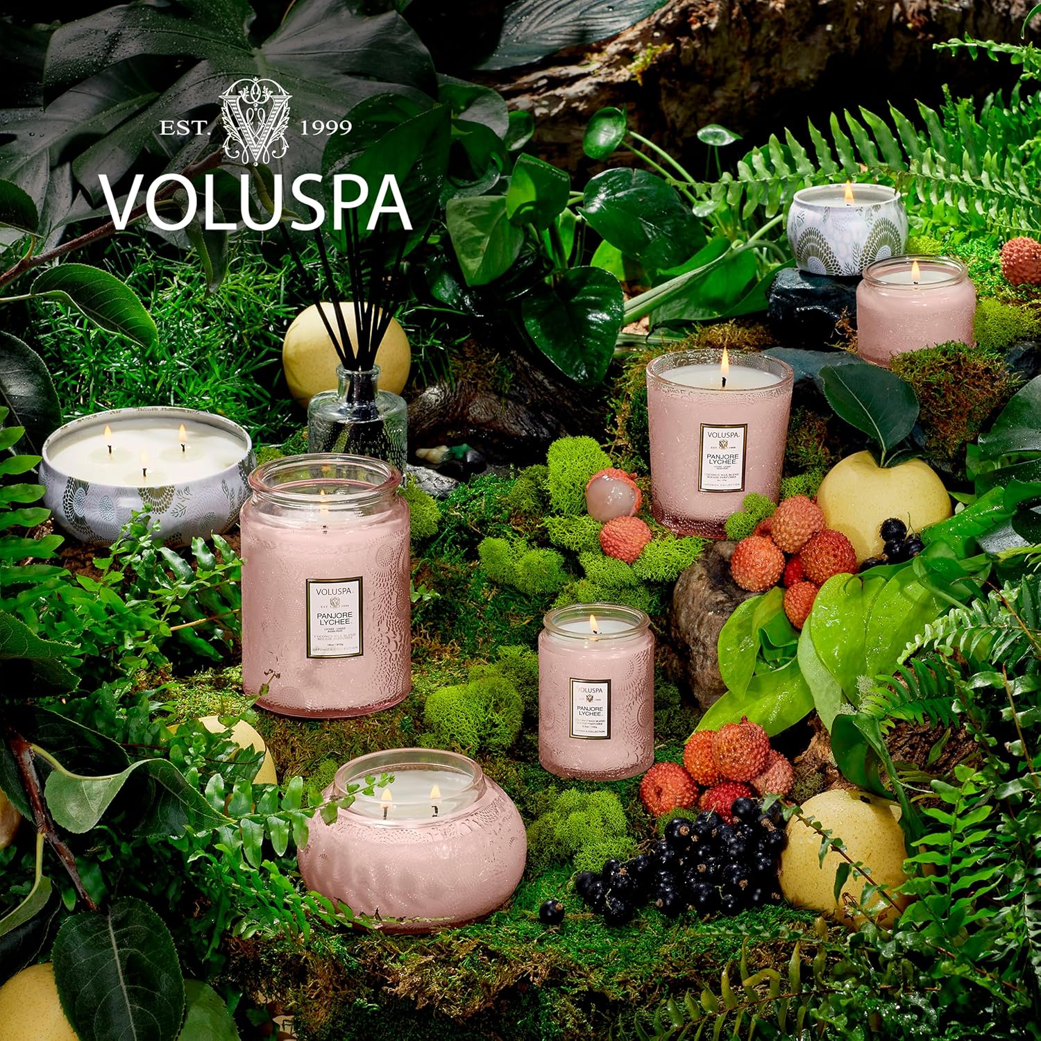 Voluspa Baltic Amber, Petite Candle Jar, 3.2 Ounce, 25 Hour Burn Time, Coconut Wax for Clean Burning, Handcrafted in the USA