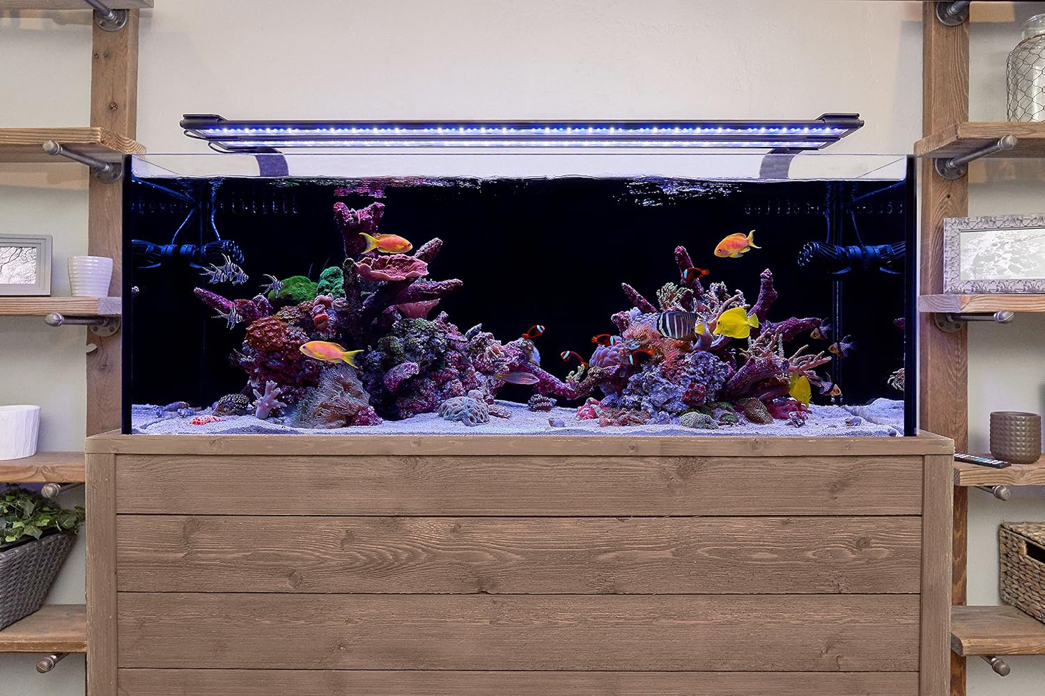 Current USA 24-36" Inch Orbit Marine LED Saltwater Reef Marine Aquarium Light | 24 Hour IR Lighting & eFlux Wave Pump Control | Adjustable Color Spectrum for Fish Tank (4101)